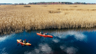 Group of people in kayaks among reeds on the autumn river. View from above.