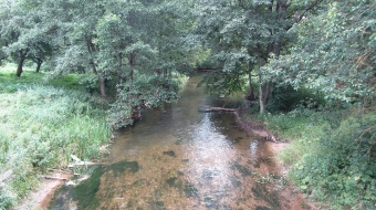 Lakaja_18201,_Lithuania_-_panoramio